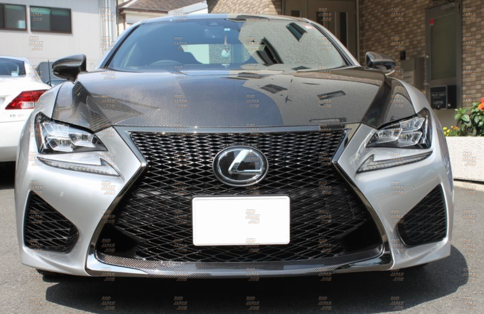 LEMS Grille Mould Lower Dry Carbon Fiber - Lexus RC-F USC10 - RHDJapan
